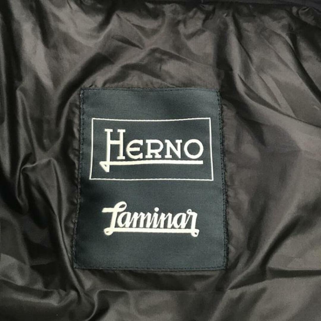 HERNO(ヘルノ)のHERNO / ヘルノ | Laminar ラミナー GORE-WINDSTOPPER ダウンジャケット | 50 | ネイビー | メンズ メンズのジャケット/アウター(その他)の商品写真