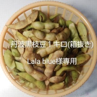 丹波黒枝豆１キロ(箱抜き)(野菜)