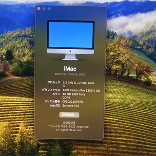 【配送専用箱アリ】2020 iMac 27インチ 1T SSD メモリ40G