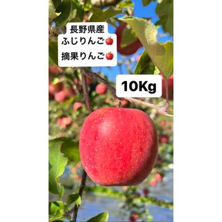 長野県産　サンふじ　ふじ　りんご　摘果りんご　10Kg 訳あり　🍎(フルーツ)