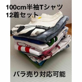 サニーランドスケープ(SunnyLandscape)の夏物　半袖Tシャツ　100cm(Tシャツ/カットソー)