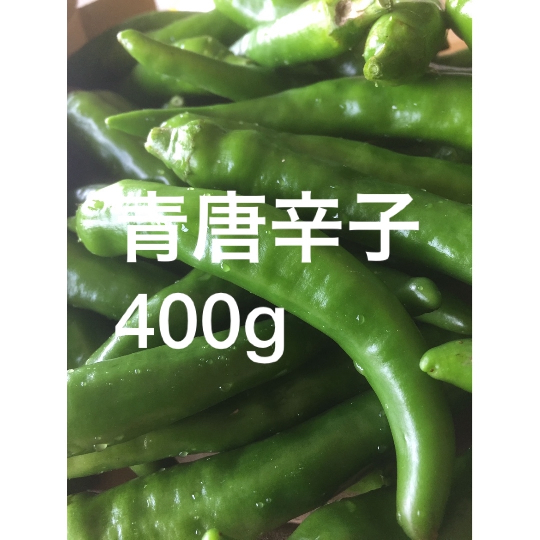 青唐辛子　400g おまけ付き　農薬不使用 食品/飲料/酒の食品(野菜)の商品写真