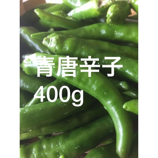 青唐辛子　400g おまけ付き　農薬不使用(野菜)