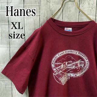 ヘインズ(Hanes)のUSA製 ヴィンテージ ヘインズ ビッグプリント Tシャツ オーバーサイズ XL(Tシャツ/カットソー(半袖/袖なし))