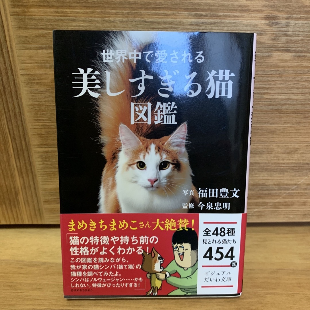 世界中で愛される美しすぎる猫図鑑 エンタメ/ホビーの本(その他)の商品写真