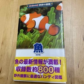 ガッケン(学研)の学研　魚図鑑　ポケット版(趣味/スポーツ/実用)