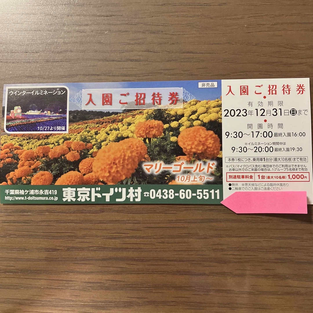 東京ドイツ村　入園ご招待券 チケットの施設利用券(その他)の商品写真