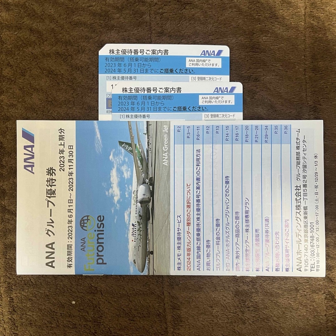 ANA 株主優待 搭乗券２枚  全日空  全日本空輸