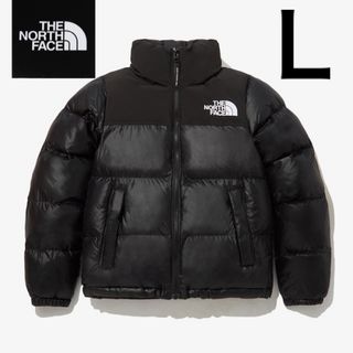 極美品 THE NORTH FACE ダウンジャケット ゴアテックス メンズL