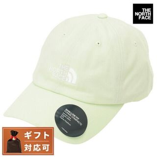 ザノースフェイス(THE NORTH FACE)の【新品】ザ ノースフェイス THE NORTH FACE ファッション雑貨 メンズ NF0A3SH3 N13(その他)