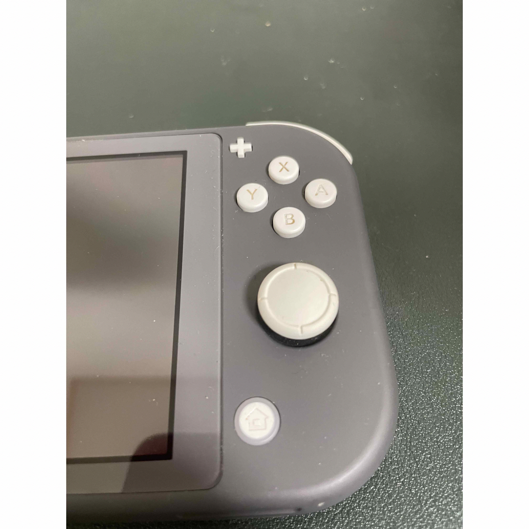 任天堂Switch light  エンタメ/ホビーのゲームソフト/ゲーム機本体(携帯用ゲーム機本体)の商品写真