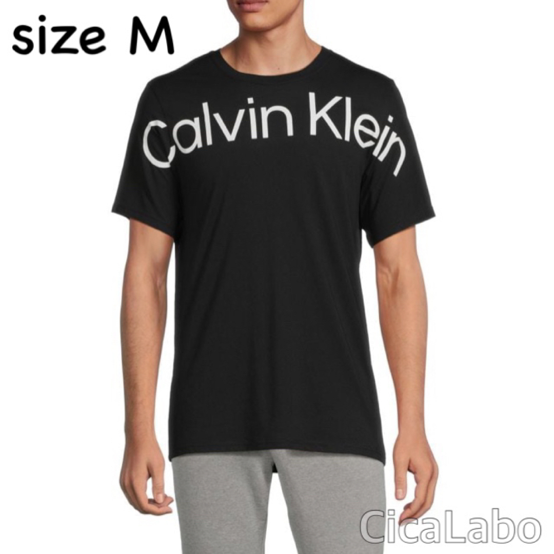 Calvin Klein(カルバンクライン)の【新品】カルバンクライン Tシャツ ビッグロゴ ブラック M メンズのトップス(Tシャツ/カットソー(半袖/袖なし))の商品写真