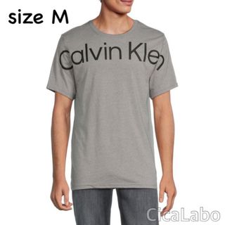 カルバンクライン(Calvin Klein)の【新品】カルバンクライン Tシャツ ビッグロゴ グレー M(Tシャツ/カットソー(半袖/袖なし))