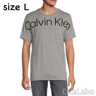 カルバンクライン(Calvin Klein)の【新品】カルバンクライン Tシャツ ビッグロゴ グレー L(Tシャツ/カットソー(半袖/袖なし))
