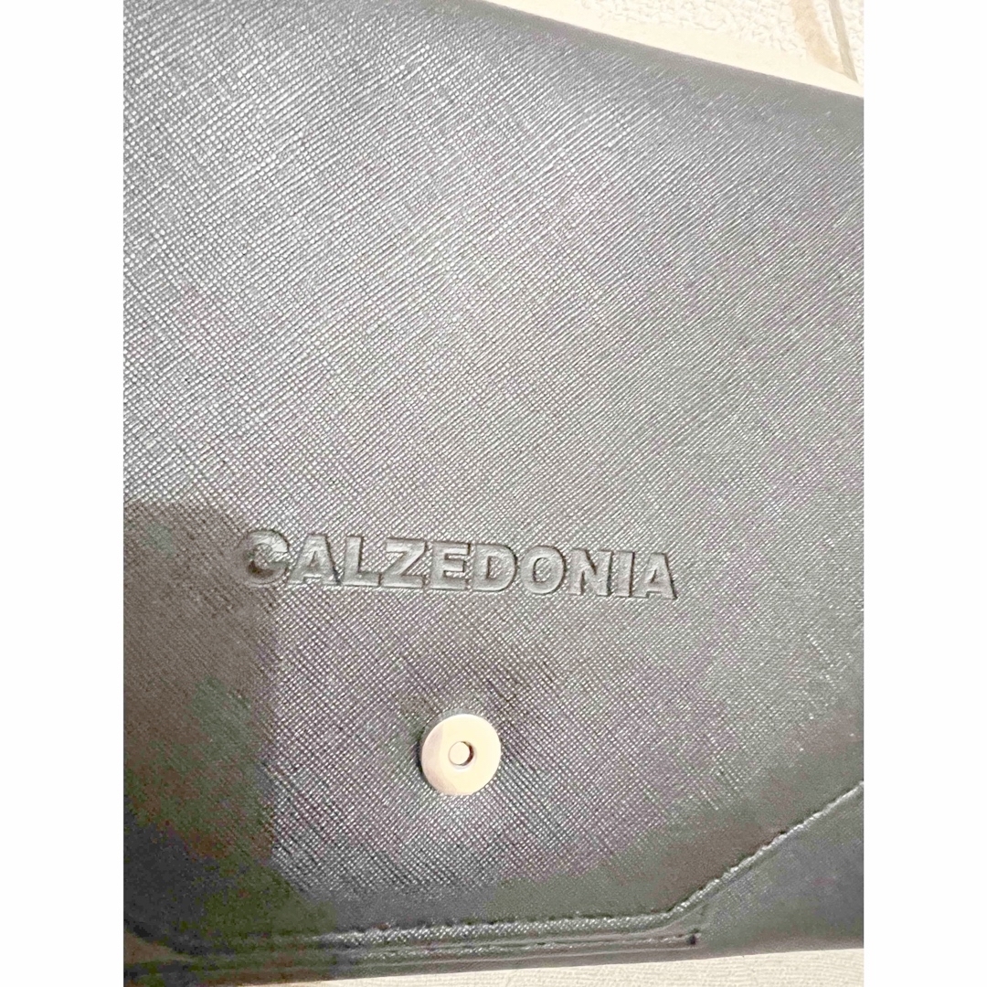 Lochie(ロキエ)のCALZEDONIA カルツェドニア ノベルティ クラッチバッグ  レディースのバッグ(クラッチバッグ)の商品写真