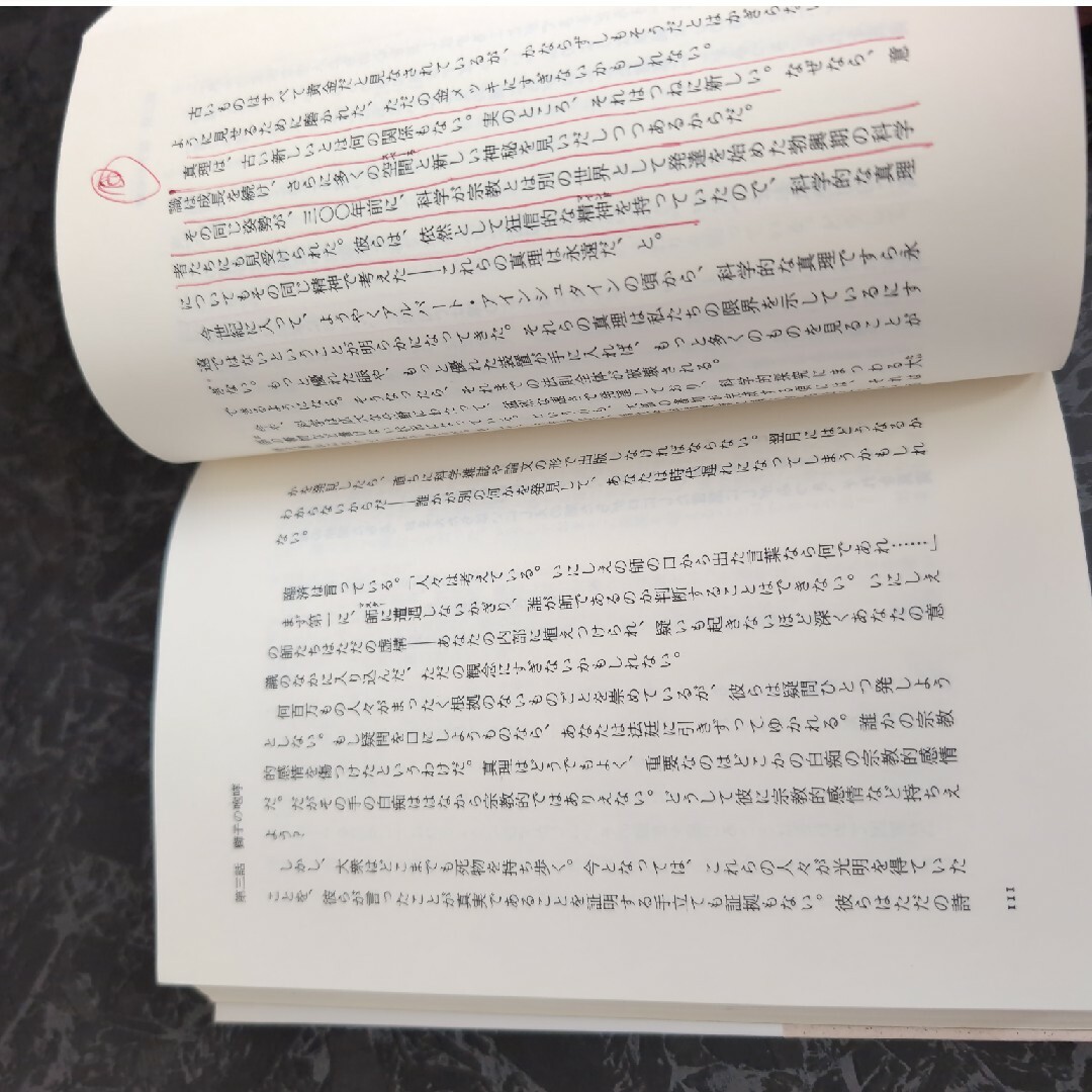 絶版　入手困難な超希少品　　臨済録　和尚ラジニーシ