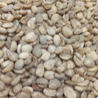 SULAWESI ARABICA、コーヒー生豆　800グラム(コーヒー)