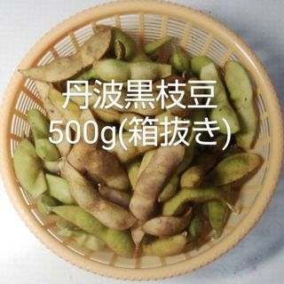 丹波黒枝豆500g (箱抜き)(野菜)