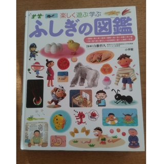 ショウガクカン(小学館)のふしぎの図鑑 楽しく遊ぶ学ぶ(絵本/児童書)