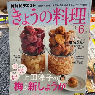 NHK きょうの料理 2023年 06月号 [雑誌](その他)