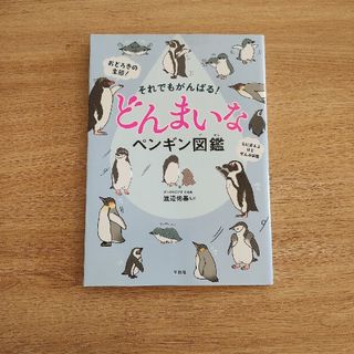 それでもがんばる！どんまいなペンギン図鑑(絵本/児童書)