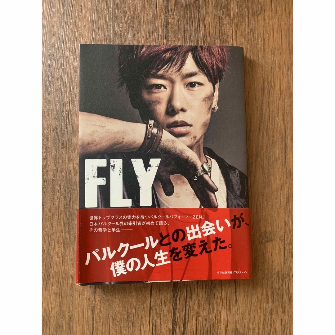 小学館(ショウガクカン)のZEN 「FLY」 エンタメ/ホビーの本(アート/エンタメ)の商品写真