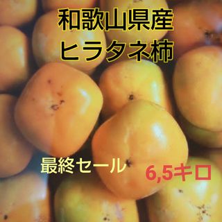 和歌山県産ヒラタネ柿(フルーツ)