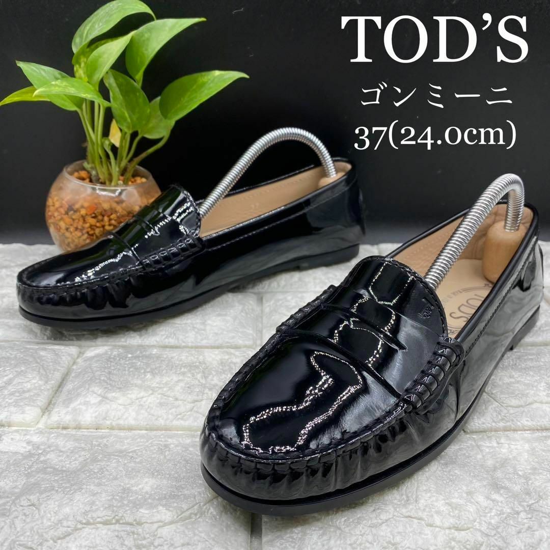 TOD'S   極美品 トッズ ゴンミーニ ローファー スリッポン