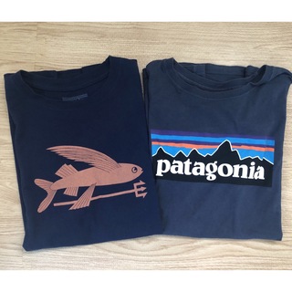 パタゴニア(patagonia)のパタゴニア　ボーイズLサイズ　二枚セット(Tシャツ/カットソー)