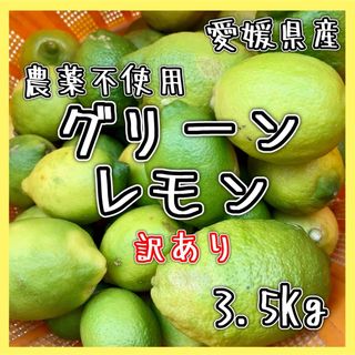 《訳あり》愛媛県産農薬不使用 グリーンレモン3.5Kg ①国産レモン 果物 国産(フルーツ)