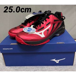 MIZUNO - ミズノ テニス　ウェーブエクシード 4 WIDE OC  25.0cm 