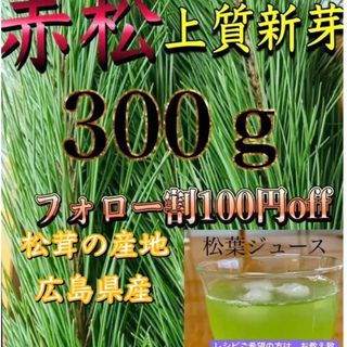 上質新芽 赤松 松葉 松葉ジュース、松葉茶などに、300㌘、栄養豊富(野菜)