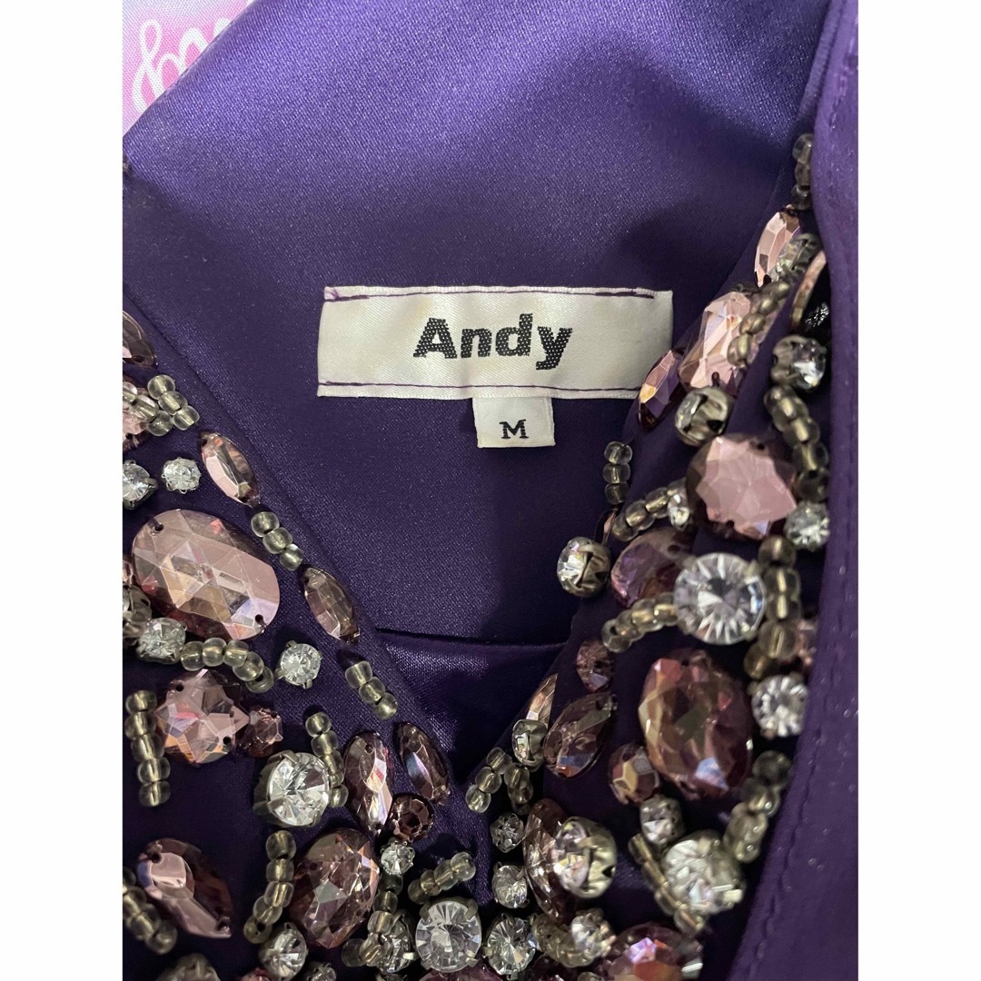 Andy(アンディ)の美品定価3万andy レディースのフォーマル/ドレス(ナイトドレス)の商品写真