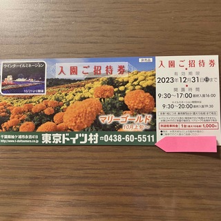 くぅーー様専用　東京ドイツ村　チケット(その他)