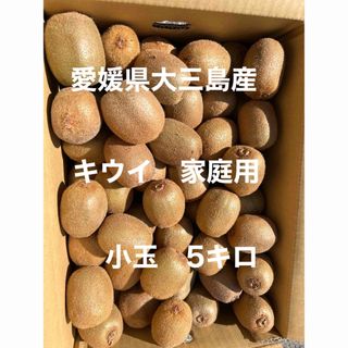 しまなみ大三島産　グリーンキウイ　小玉5キロ(フルーツ)