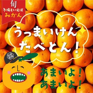 エヒメミカン(愛媛みかん)の愛媛県産　特別栽培　早生温州みかん(フルーツ)