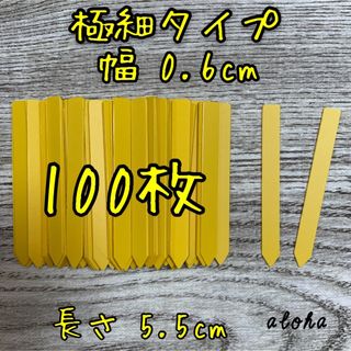 イエロー　100枚 多肉植物 アガベ サボテンに◎ 園芸用 ラベル ネームラベル(その他)