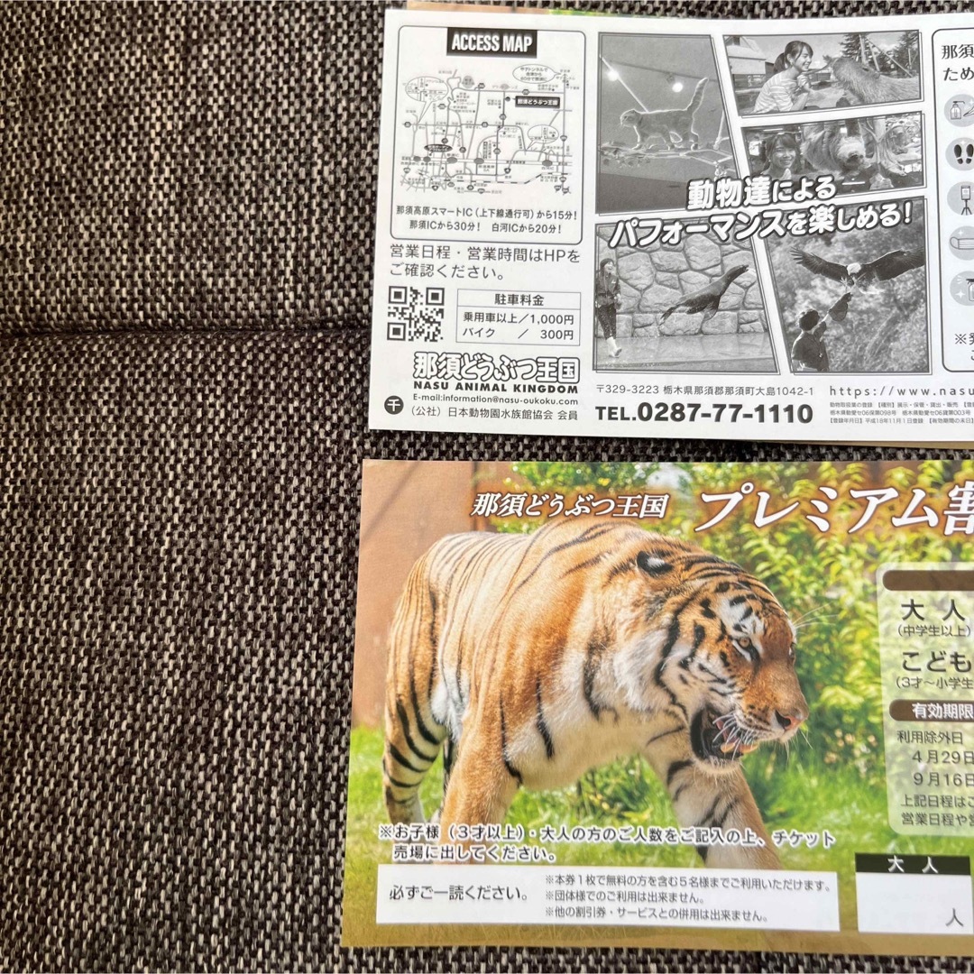 3枚　那須どうぶつ王国　子供無料　大人割引 チケットの施設利用券(動物園)の商品写真