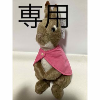 ピーターラビット(PETER RABBIT（TM）)のピーターラビット　フロプシースモール(ぬいぐるみ)