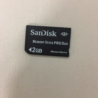 サンディスク(SanDisk)のメモリースティック San Disk 2GB(その他)