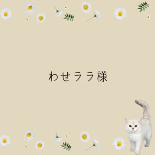 わせララ様　樹脂ピアス2点(ピアス)