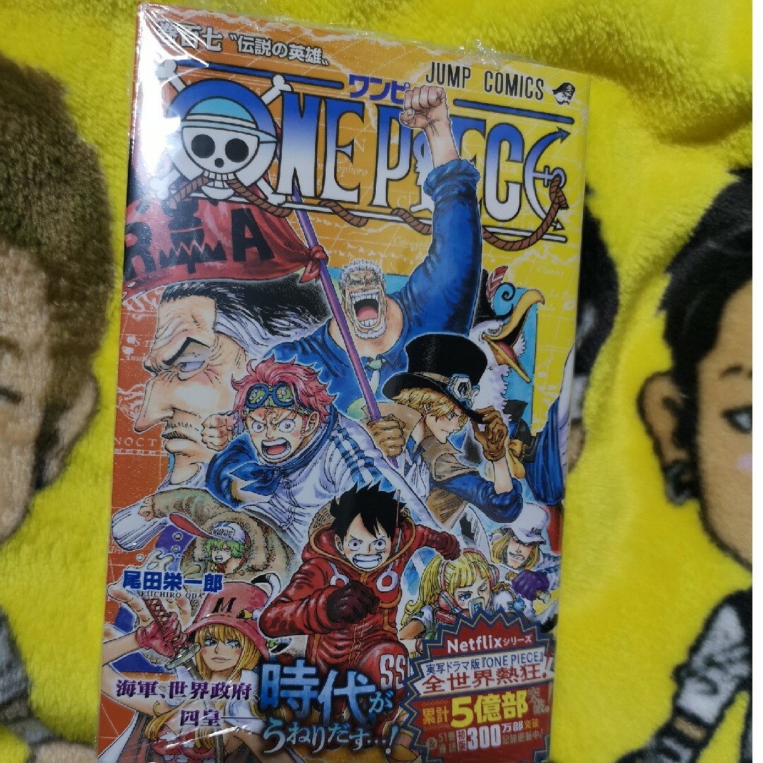集英社 - wakawaka様専用ページ 漫画 ONE PIECEの通販 by ゆきんこ's