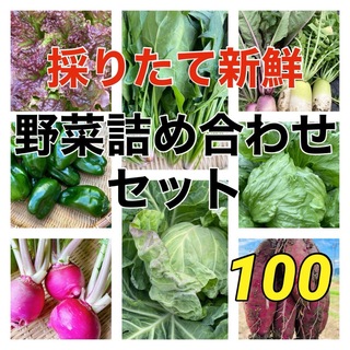 金曜日発送‼️新鮮お野菜セット‼️(野菜)