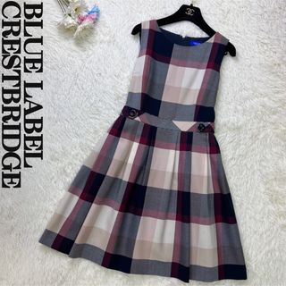 ブルーレーベルクレストブリッジ(BLUE LABEL CRESTBRIDGE)の美品♡ブルーレーベルクレストブリッジ Aライン チェック ワンピース(ひざ丈ワンピース)