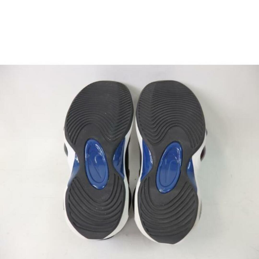 <br>NIKE ナイキ/AIR ZOOM FLIOGHT95/DV6994-001/29/メンズスシューズ/ABランク/84