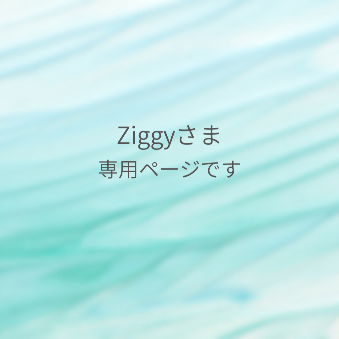 ziggyさま　ありがとうございますピアス