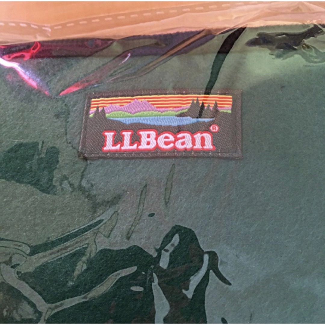 L.L.Bean(エルエルビーン)のかんぽ生命 L.L.Bean アウトドア オリジナル クッション ブランケット スポーツ/アウトドアのアウトドア(その他)の商品写真