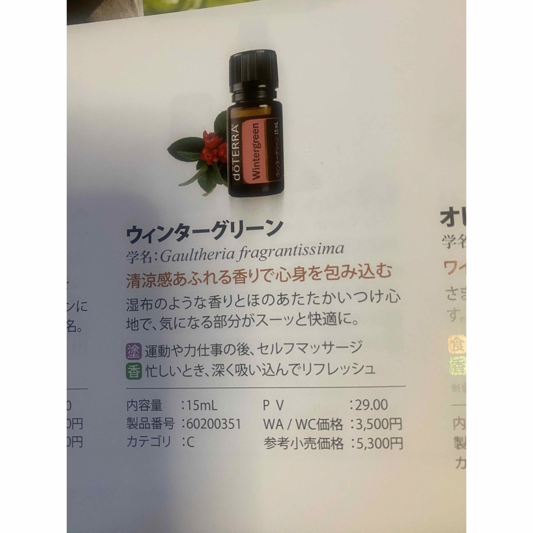 ドテラ　ウインターグリーン　アロマオイル　15ml