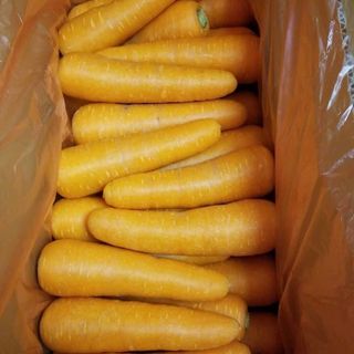 九州産無農薬人参10kg(野菜)