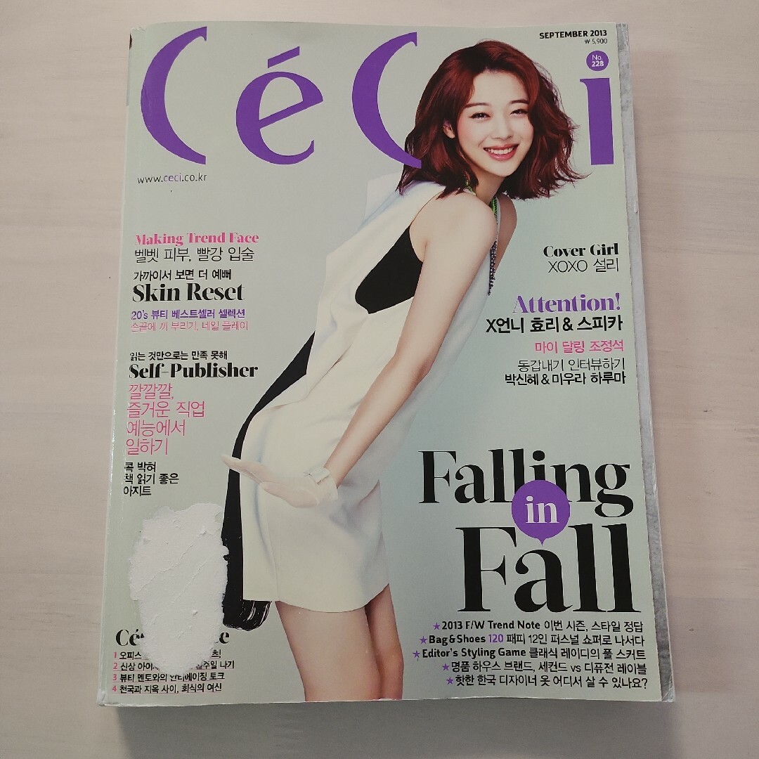 ceci 2013年9月号 三浦春馬 パクシネ ソルリ チョジョンソク エンタメ/ホビーの雑誌(音楽/芸能)の商品写真